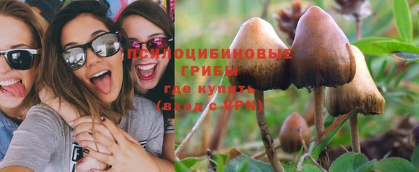 гидра Балабаново